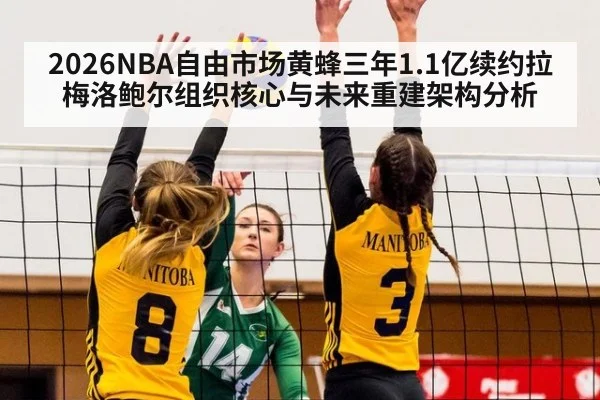2026NBA自由市场黄蜂三年1.1亿续约拉梅洛鲍尔组织核心与未来重建架构分析