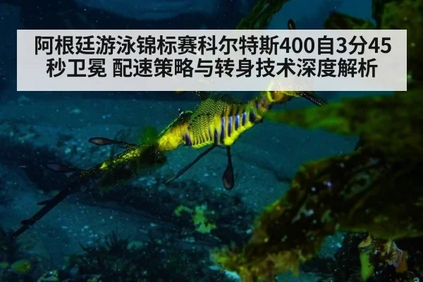 阿根廷游泳锦标赛科尔特斯400自3分45秒卫冕 配速策略与转身技术深度解析